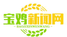 阳平铁路物流基地二期投运，中欧班列年发运量突破300列，助力“一带一路”发展